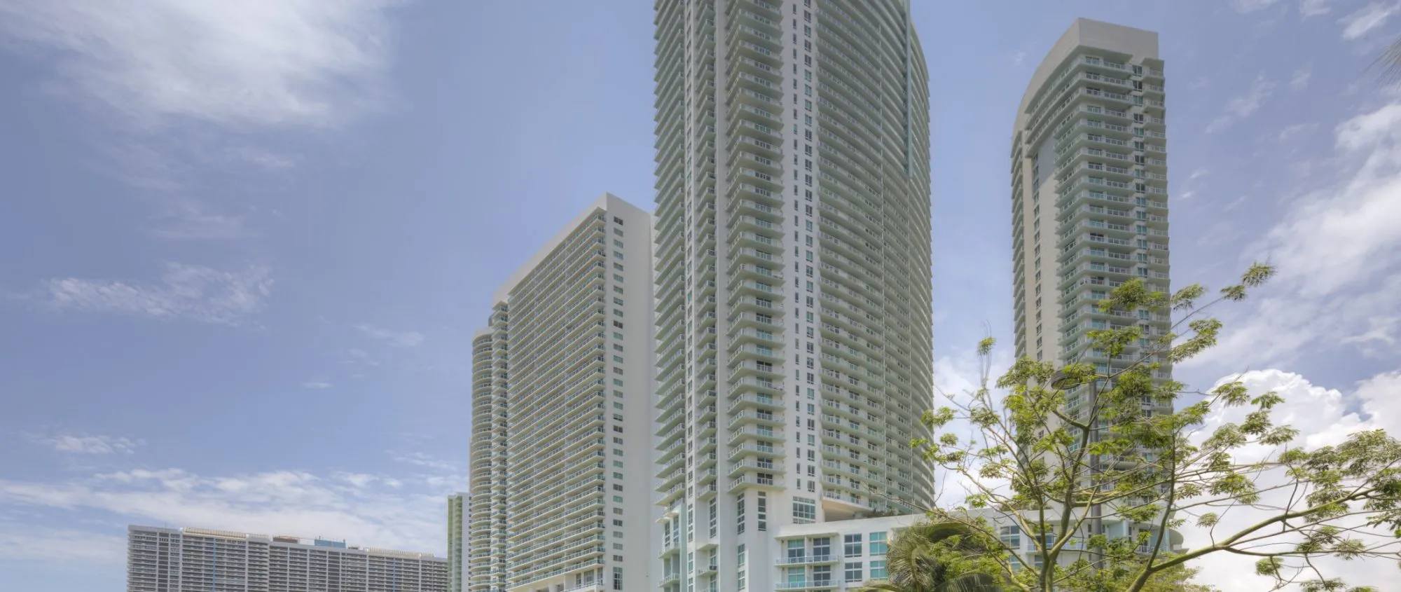 high-rise building surrounded by palm trees